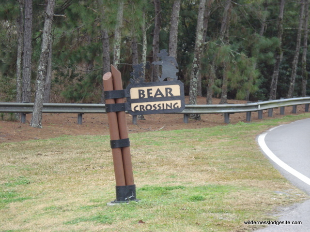 Bear Crossing